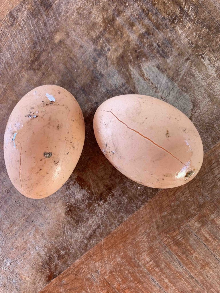 Uit de moestuin: bevroren eieren