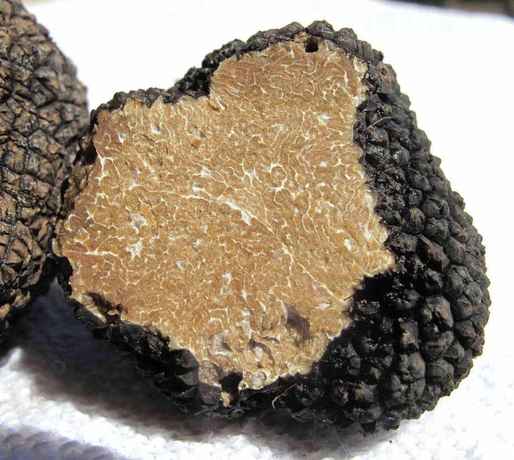 Truffel