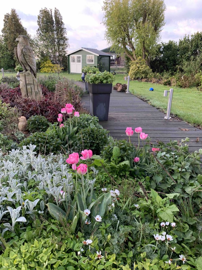 Tuin