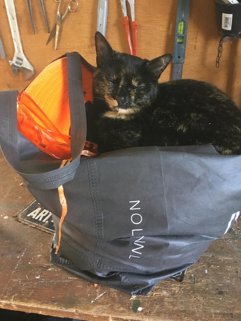 Loes de poes