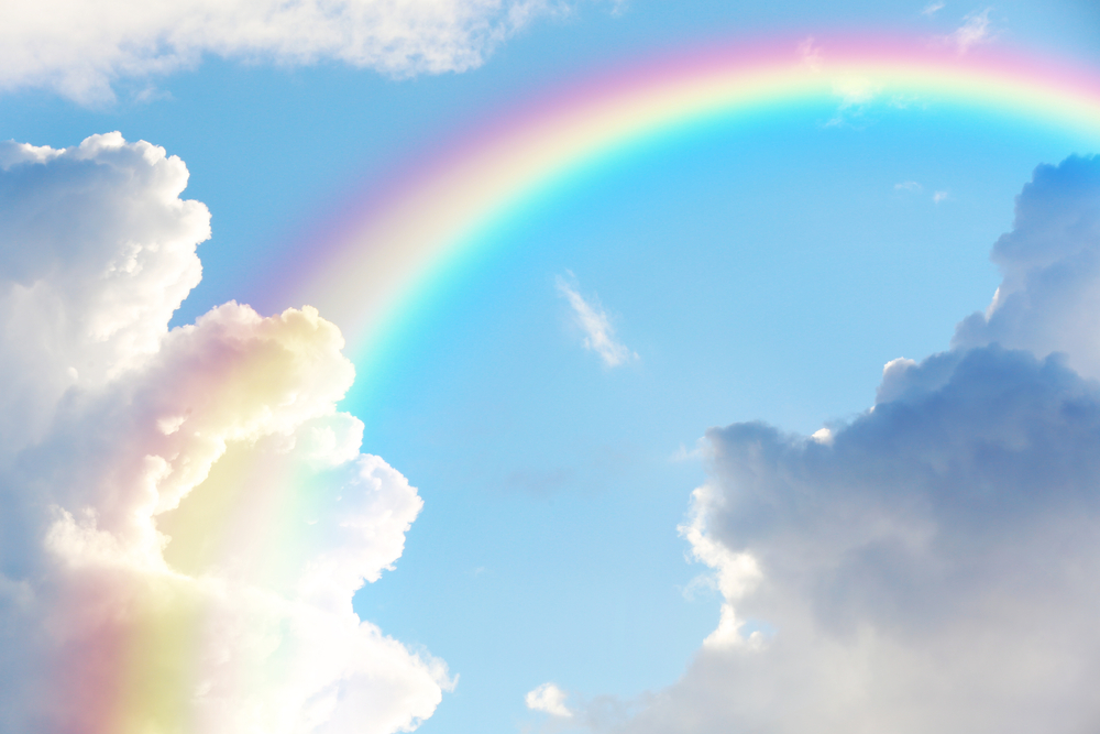 Regenboog