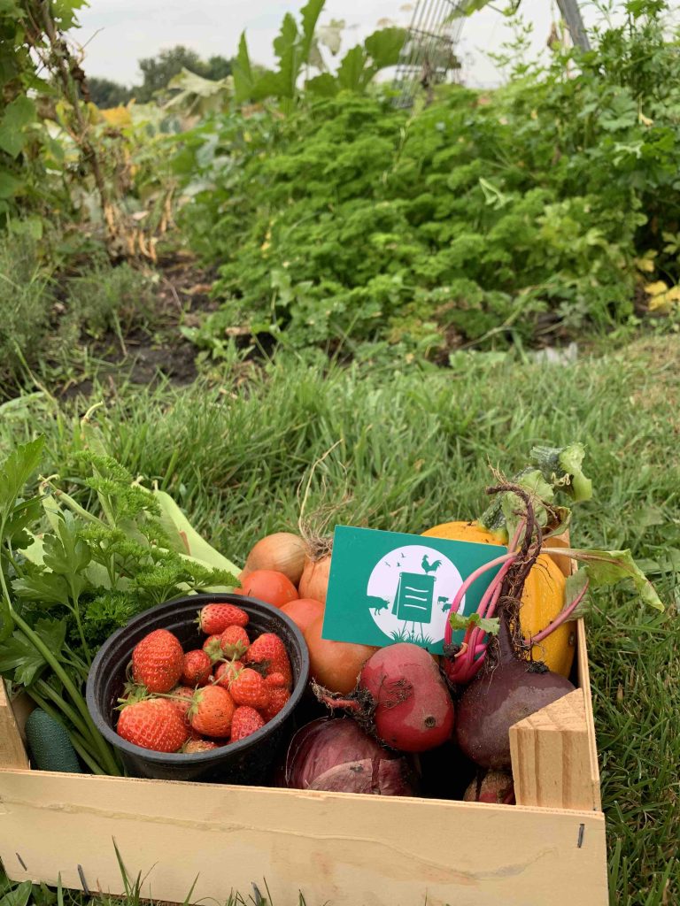 Biologisch groentepakket