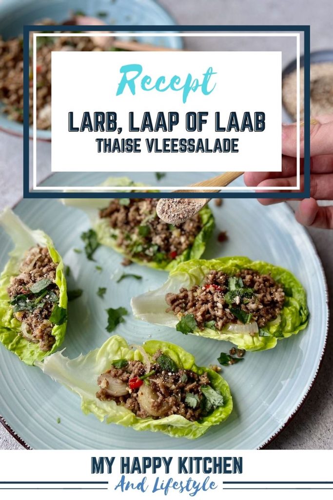 larb, laap of laab salade