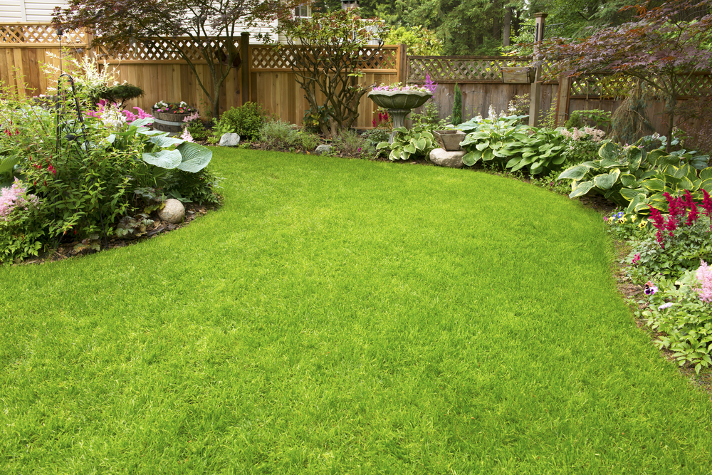 Inspiratie voor de tuin