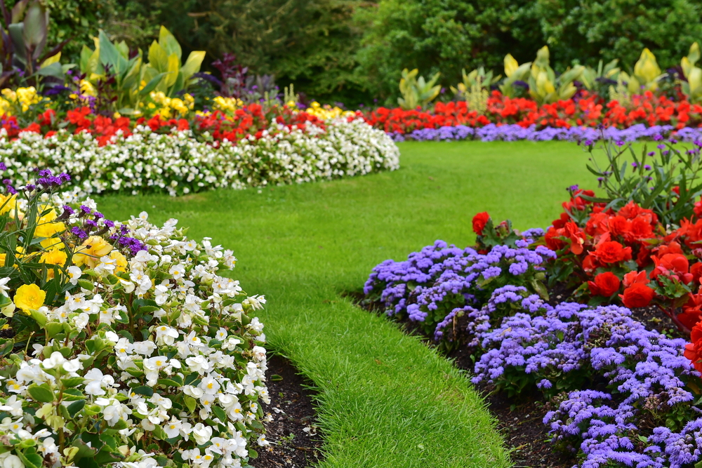 Inspiratie voor de tuin