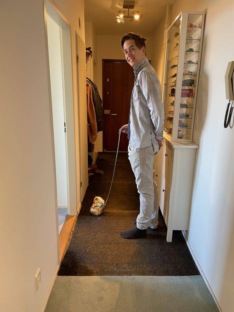 Cavia Punkie met tuigje