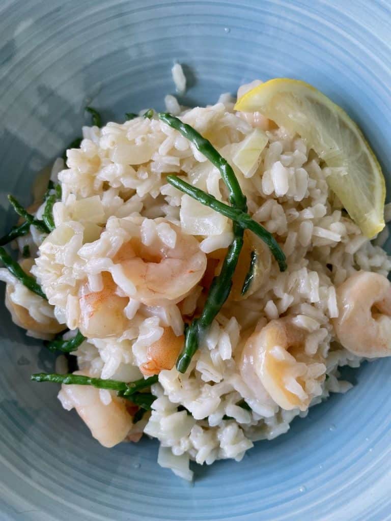 risotto met garnalen en zeekraal