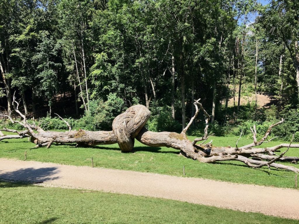 Uitstapjes vanuit Caldonazzo: Arte Sella