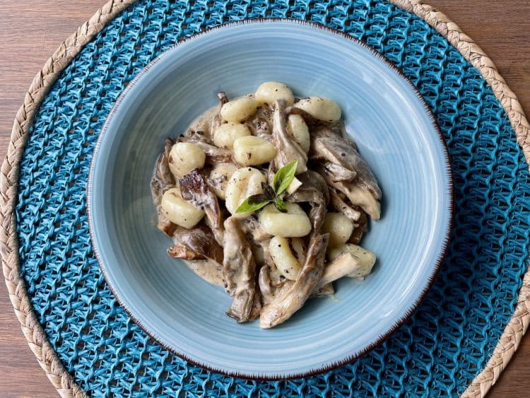 gnocchi met oesterzwammen