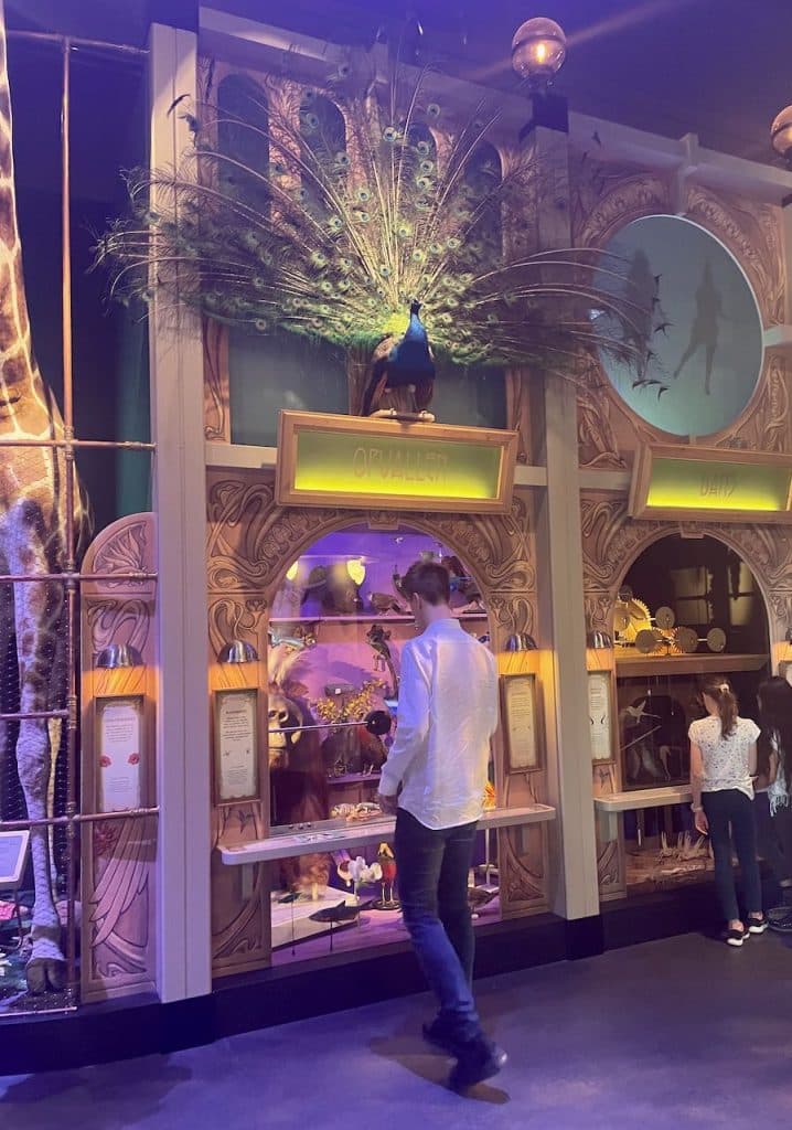 Naturalis bezoeken met kinderen