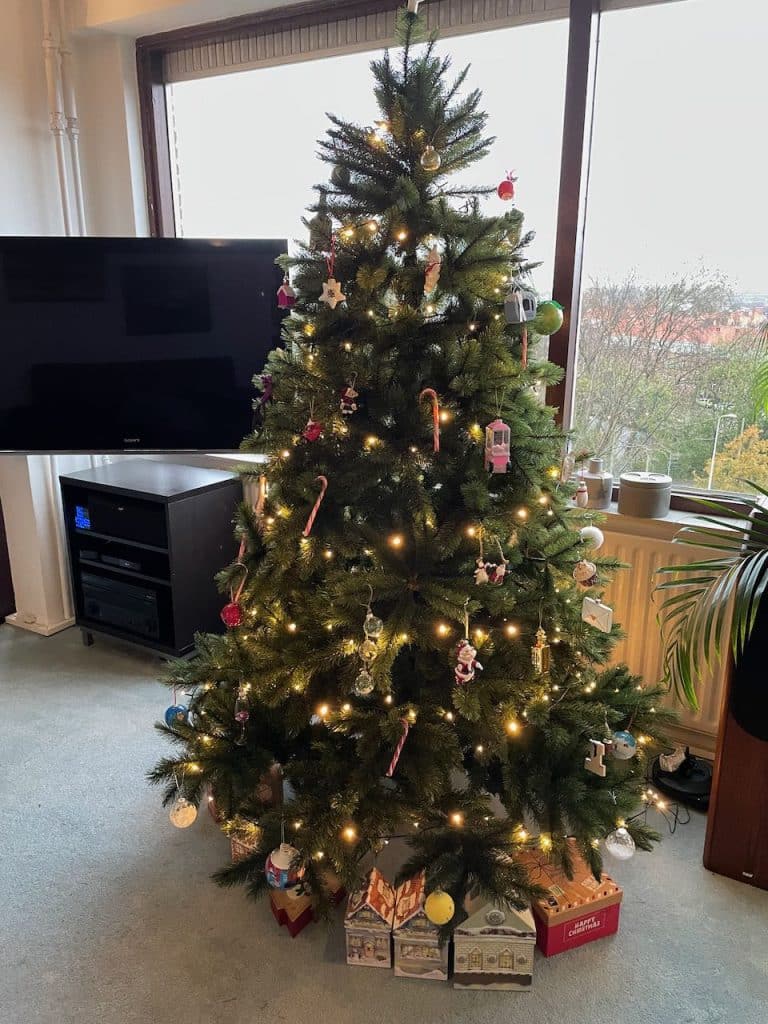 Kerstboom 2022