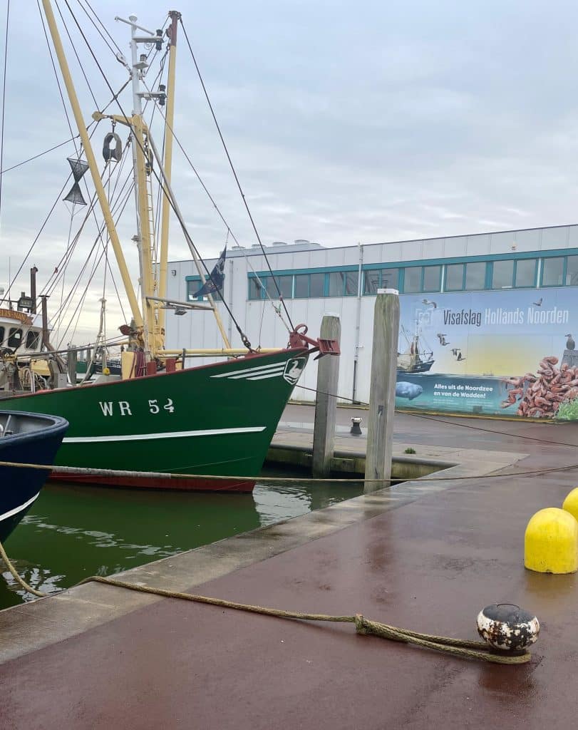 Zeeverse vismarkt Den Oever - Hollands Kroon