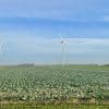 Hollands Kroon
