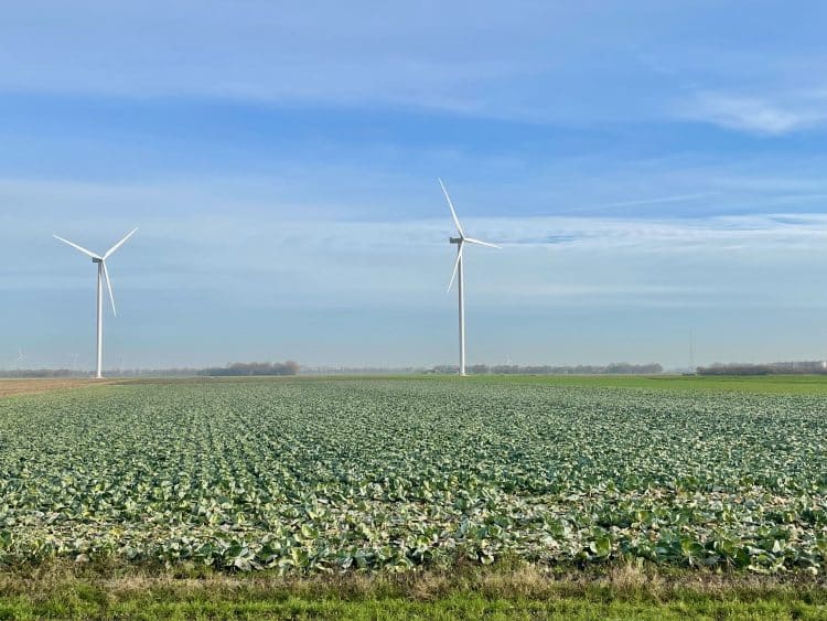 Hollands Kroon