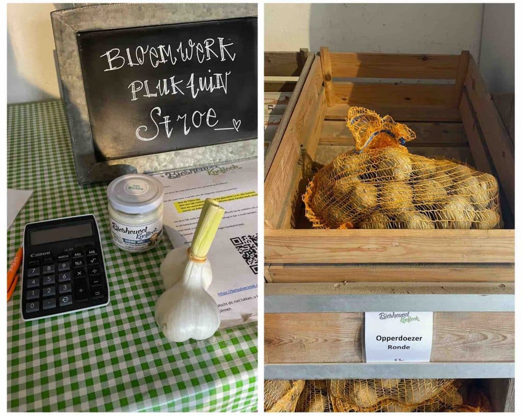 Knoflook kopen bij Biesheuvel Knoflook