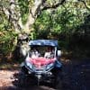 Activiteiten op La Palma - buggy tour