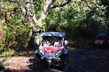 Activiteiten op La Palma - buggy tour