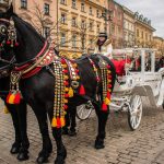 Stedentrip Polen