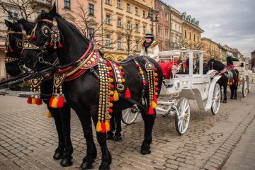 Stedentrip Polen