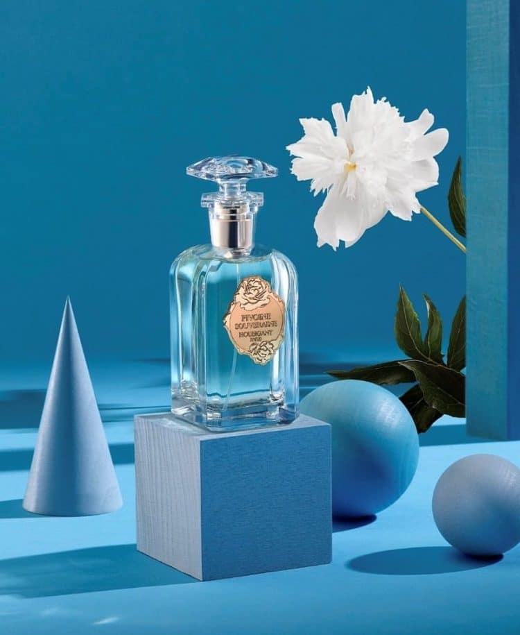 Pivoine Souveraine