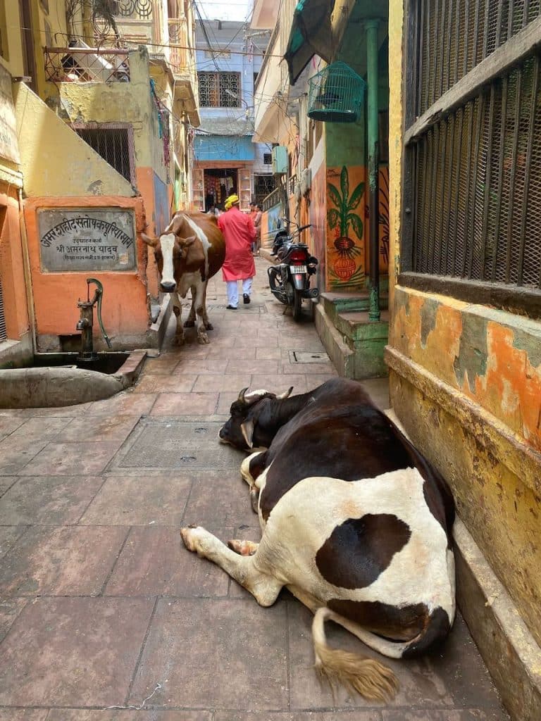 Rondreis India en Nepal