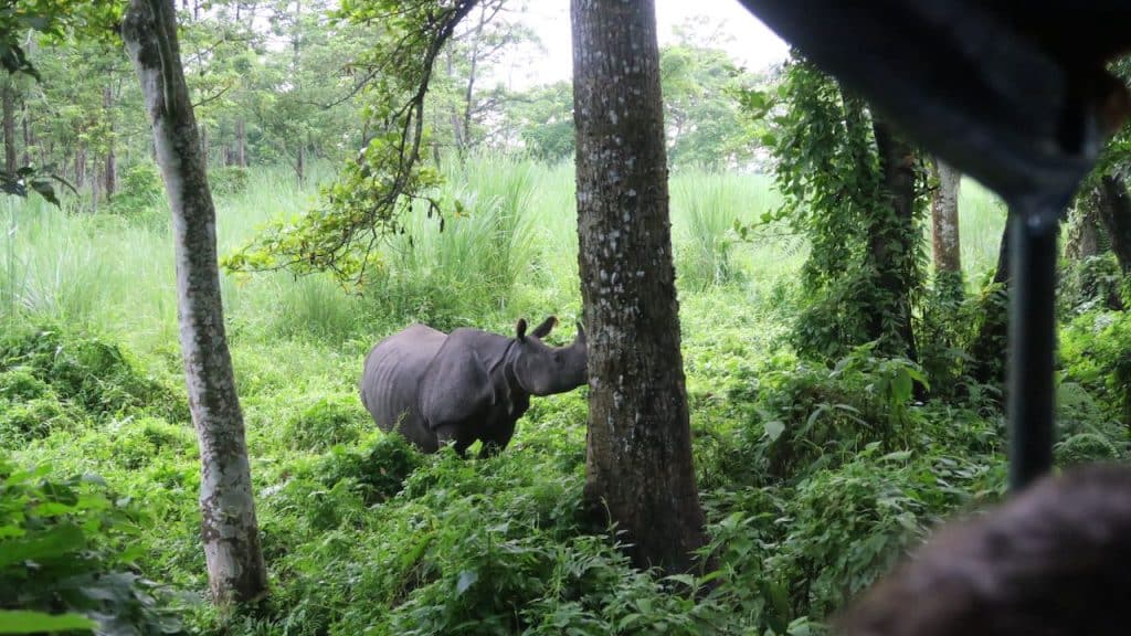 Rondreis India en Nepal