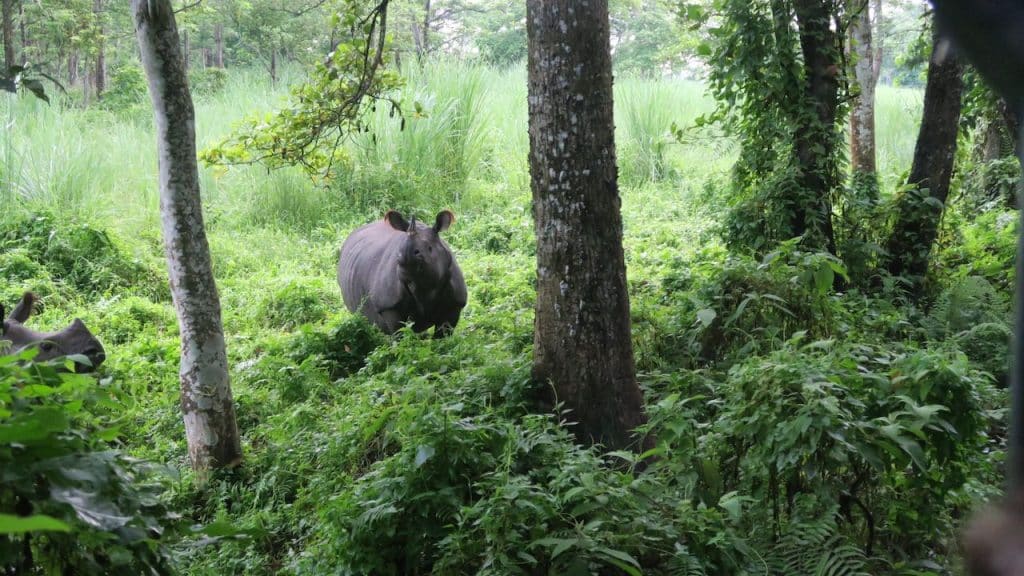 Rondreis India en Nepal