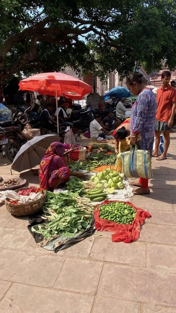 Rondreis India en Nepal