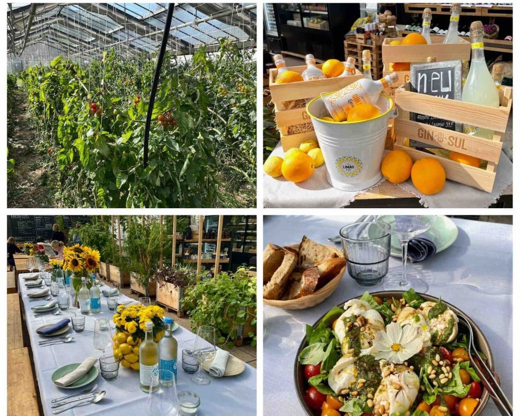 HYGGE the farm
