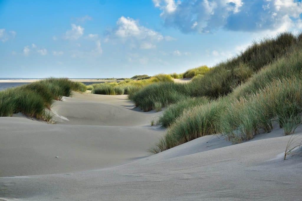 bezienswaardigheden op Ameland - strand