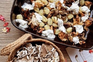 Traybake van gnocchi met paddenstoelen