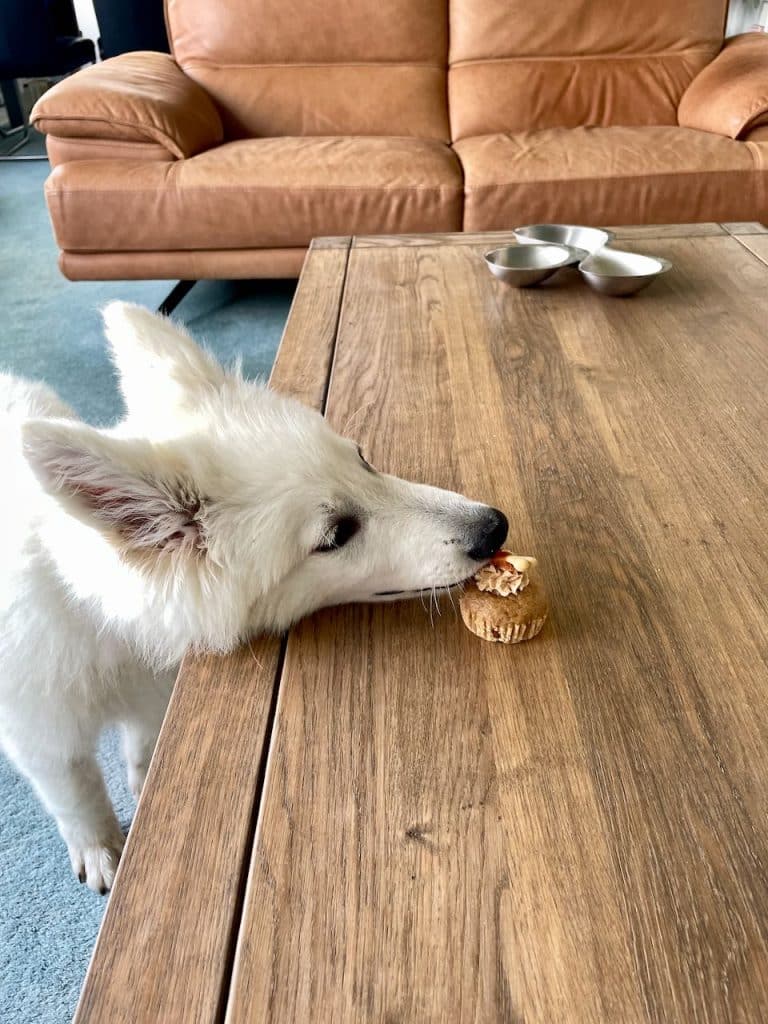 Pupcakes