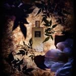 shining moon parfum