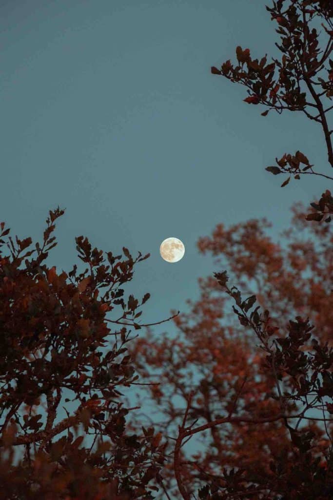 Volle maan