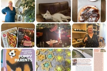 my happy life november 2023