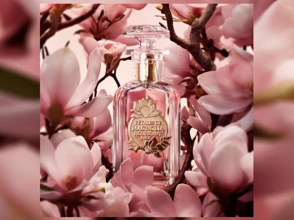Petales de magnolia