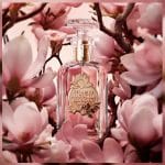 Petales de magnolia