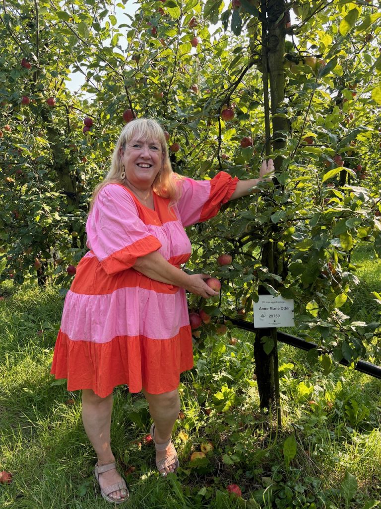 Appels plukken op de Olmenhorst