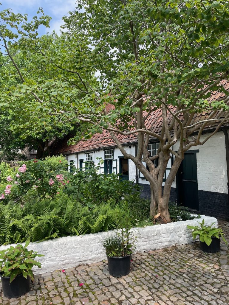 48 uur in Kortrijk: Baggaertshof