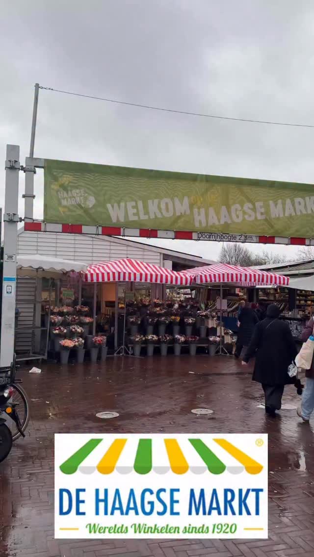 Wist je dat de Haagse Markt de grootste markt van Europa is? Met meer dan 500 kramen kun je er terecht voor producten uit alle windstreken. Van thee en kruiden tot dragonfruit en empanadas. Maar ook voor kleding, tassen, schoenen of bloemen ben je hier op het goede adres.

De Markt is ook de verbindende schakel tussen vijf unieke winkelstraten in Transvaal en de Schilderswijk. De Kempstraat, de Paul Krugerlaan, de Hoefkade, de Hobbemastraat, het Hobbemaplein en de Koningstraat bieden een  mix van culturen en verrassende winkels. Van de Jemenitische keuken van M&Z tot de lekkerste baklava bij Güleroglu. En ben je fan van merkkleding en schoenen van Guess of Michael Kors? Vergeet dan niet een bezoek te brengen aan de 1200m2 grote winkel van Herman Schoenen op het Hobbemaplein.

Secret tip: in het Van Ostadehofje, een monumentaal hofje uit 18…., waan je je even heel ver buiten de grote stad!

#haagsemarkt #vijfwinkelstraten #citytrip #thisisthehague #hermanschoenen #denhaag #markt #winkelenindenhaag #güleroğlu