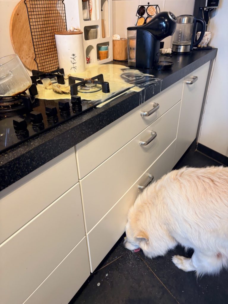 My happy life december 2025