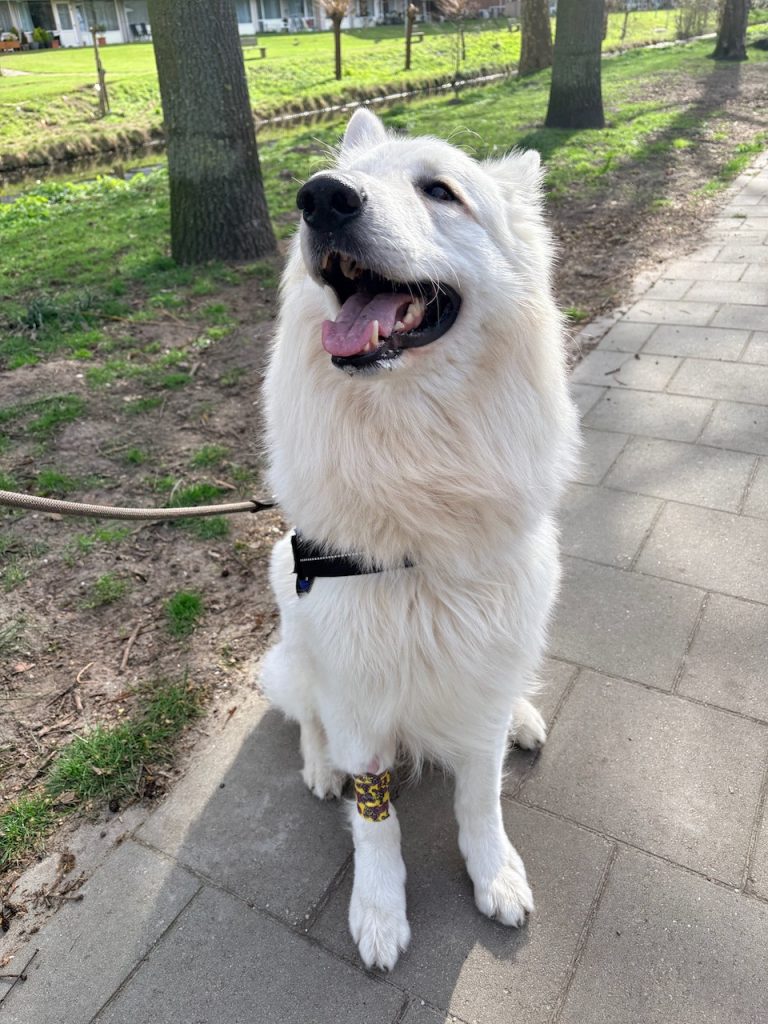 My happy life maart 2026