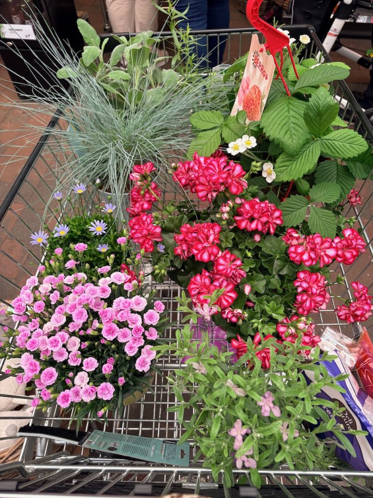 Moederdag tuincentrum